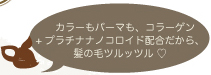 カラーもパーマも、コラーゲン+プラチナナノコロイド配合だから、髪の毛ツルッツル