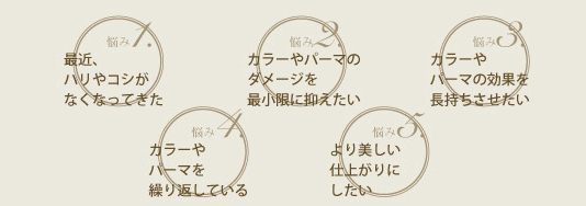 悩み：最近、ハリやコシがなくなってきた　カラーやパーマのダメージを最小限に抑えたい　カラーやパーマの効果を長持ちさせたい　カラーやパーマを繰り返している　より美しい仕上がりにしたい