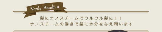 髪にナノスチームでウルウル髪に！！ナノスチームの働きで髪に水分を与え潤います