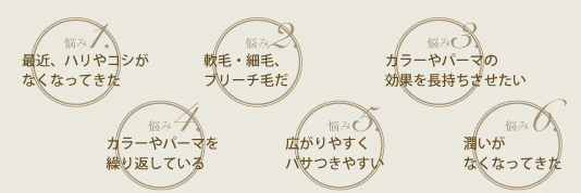 悩み：最近、ハリやコシがなくなってきた　軟毛・細毛、ブリーチ毛だ　カラーやパーマの効果を長持ちさせたい　カラーやパーマを繰り返している　広がりやすくパサつきやすい　潤いがなくなってきた